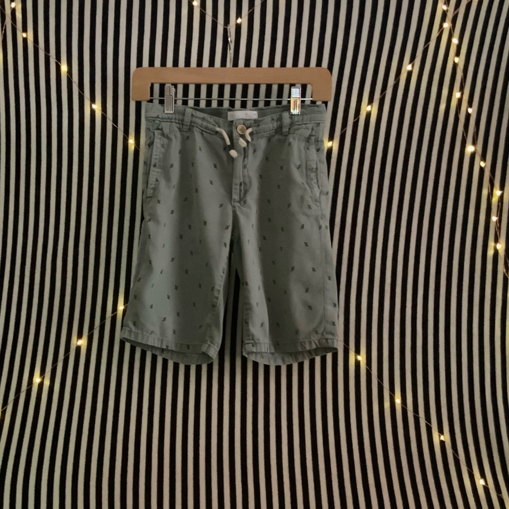 cactus Zara shorts